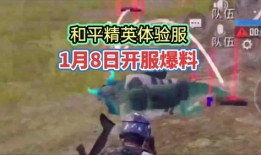 和平精英体检服最新爆料,揭秘游戏内神秘功能与改动